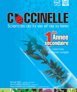 coccinelle 1