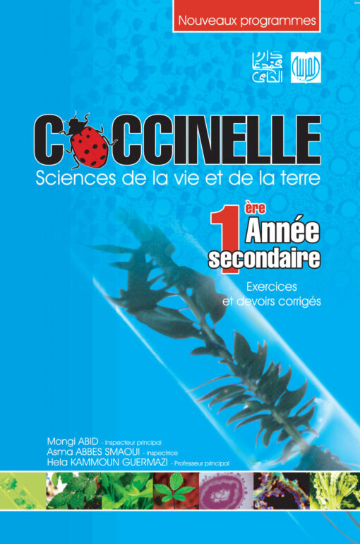 coccinelle 1