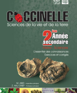 coccinelle 2