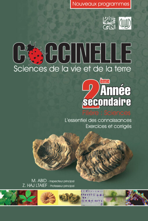 coccinelle 2