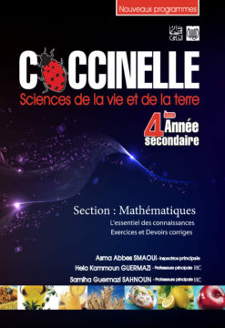 coccinelle 4 math