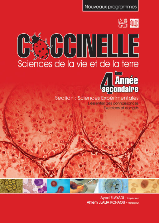 coccinelle 4 sc