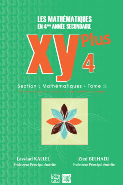 xy 4 plus math tome 2