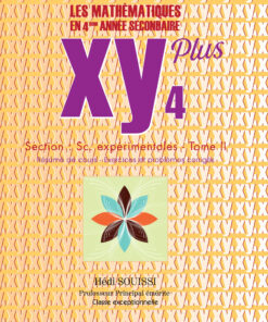 xy 4 plus sc tome 2